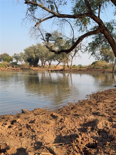 Africa Photography by Corlette Wessels on Reels