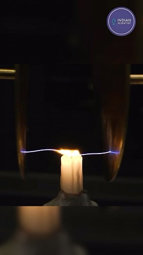 Why does the flame split into two parts? #experiment #science #facts | India Scientist