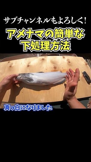 Please check out the subchannel too!! #Chiton #AmericanCatfish #AmericanCatfish