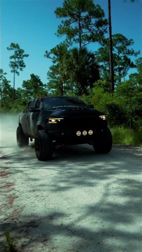 Custom RAM TRXs Everglades Mud