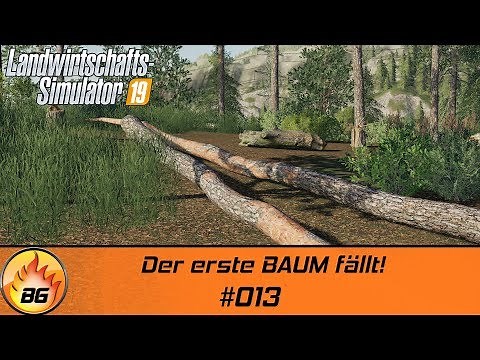 LS19 - Felsbrunn #013 | Der erste BAUM fällt | Landwirtschafts Simulator 19 | Let's Play [HD]
