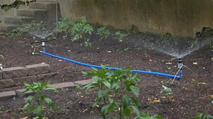 How to make a DIY sprinkler system | Rated Red