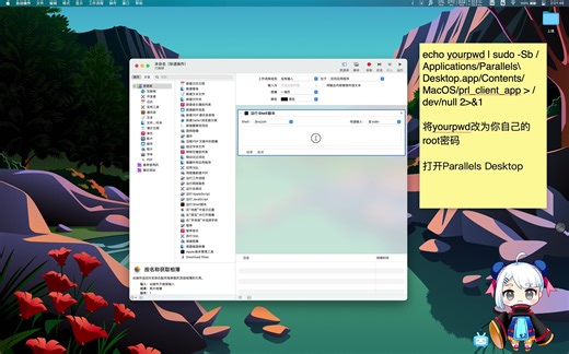 Bug Sure(Big Sur) 下快捷免输密码打开Parallels Desktop