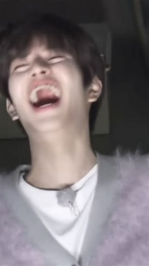 🍰✧.*Lilica✧.*🍰 on Instagram: "Kié kchorro 🖐️🙄😠 . . . . . . . . A pedido de @epsa_do_seung 🍭🍰✨"