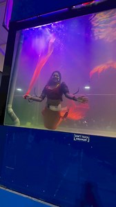 498K views · 461 reactions | Onam Trivandrum #onamtrivandrum #onam #onam2024 #onamvibes #onamreels #onamcelebration #onamexpo #onamsadhya #onam #trivandrum #payasam #onampayasam | Micu Rock Nurse Vlogger | Facebook