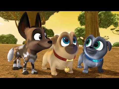 🐶 Impressing Rufus | Puppy Dog Pals | Disney Kids
