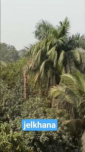 #ruhul_music_999k #jel_khanate_jaiya_dekhi_police_pagol_dj_remix