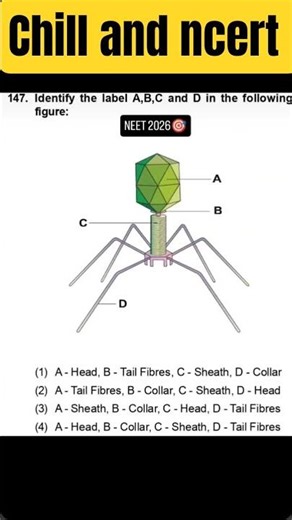 important Biology MCQ neet #shorts #neet2026 #neet #biology #neetbiology #neetug #trending #viral