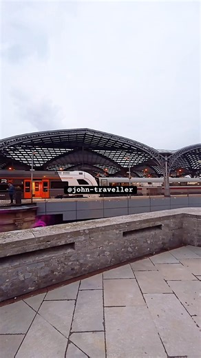 Amazing Köln #travel #travelshorts #travelvlog