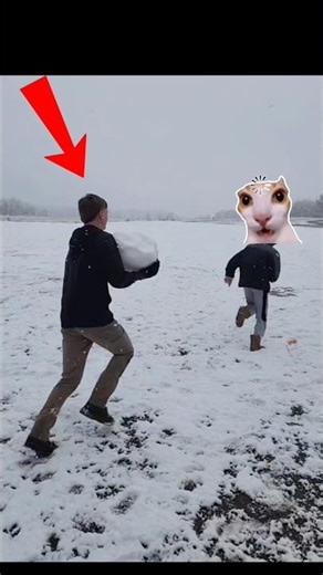 Ranking the FUNNIEST Snow Fails 💀❄️ (Wait for #1!)