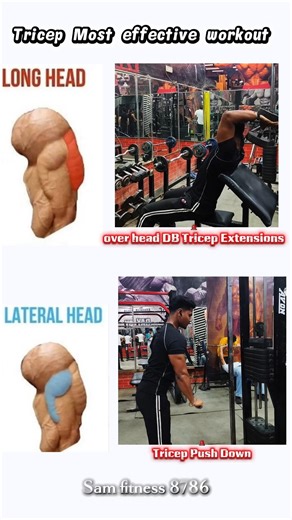 ✅TRY THESE for Insane Triceps Growth 💪 #gym #workout