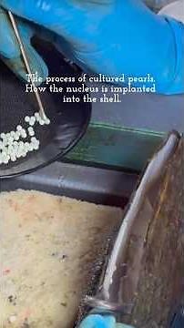The process of cultured pearls