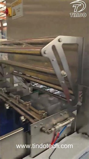 Automatic Modified Atmosphere Packaging Machine
