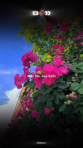 || Me Tere Esk Mein🙈👀✨ || #lyricsvideo #whatsappstatus #aestheticvideo