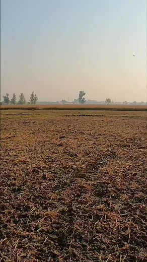 Best Slingshot For Long Range Hunting | Taseer Hunting