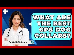 What Are The Best GPS Dog Collars? - PetGuide360.com