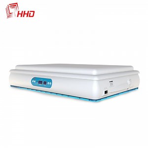 [Hot Item] Hhd CE Marked Automatic Mini 120 Chicken Egg Incubator
