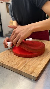 Red Velvet Hippo Cake! Hippo-sized sweet tooth 🦛🍰 | Chefclub Network