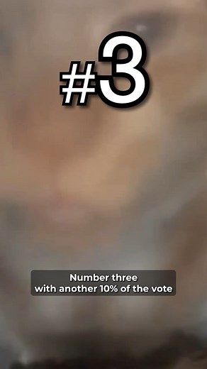 In 3rd place - Mr.Fresh: January 2024 Meme Of The Month | Know Your Meme