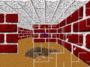 Windows 98 3D Maze screensaver