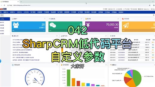 042、SharpCRM低代码平台：自定义参数