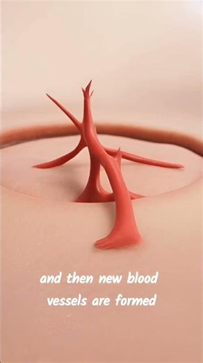 How Stitches REALLY Heal Your Skin! | 3D Medical Animation Explained #facts #shorts