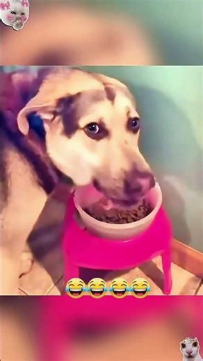 Please share with your friends #pov #tools #sketch #funny #acting #story