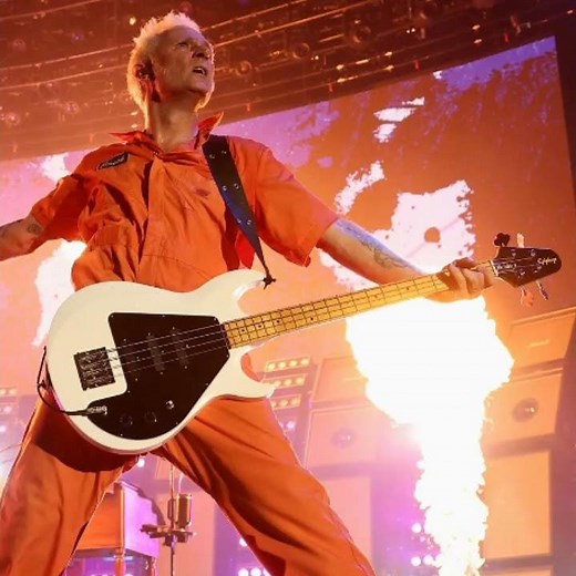 Mike Dirnt (Green Day) Live Bass Tone/Rig Saviors Tour: Fender P Bass, Gibson/Epiphone G3 #shorts