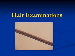 Hair Examinations - SlideServe
