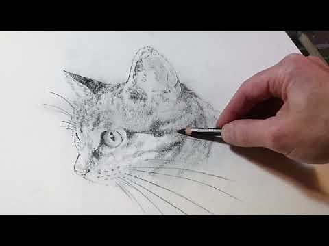 Learn Traditional Drawing Tools And Techniques