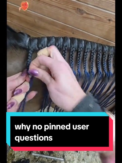 Effective Horse Braiding Tips for Equestrians