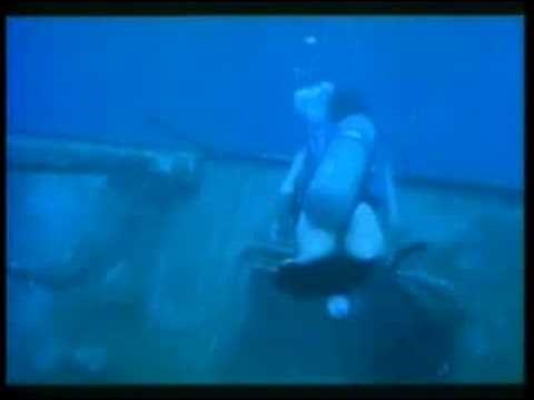 フライングキラー