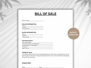 Printable Document of Transfer Form, Editable Transaction Contract (instant Download) - Etsy