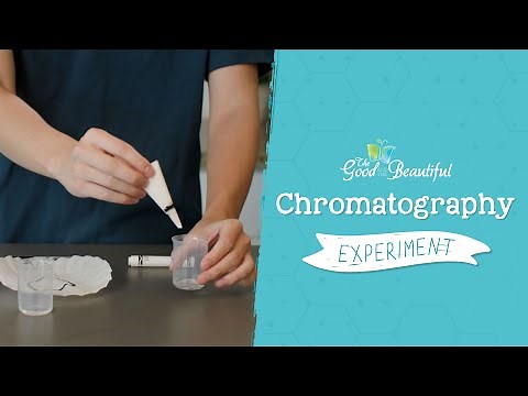 Chromatography Experiment | Chemistry | The Good and the Beautiful