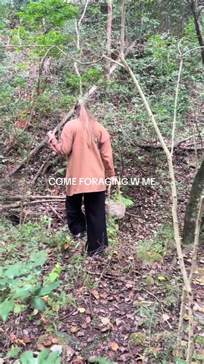 Come foraging with us