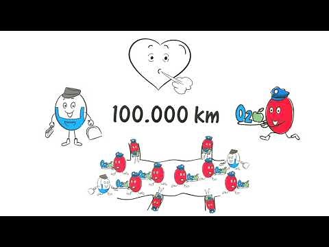 Wie funktioniert BEMER, Lukas Film!