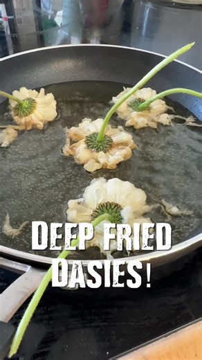 Thomas Radford on Instagram: "Deep fried #daisies in #tempura is a very simple snack but fun and visually great. An alternative to the usual Doritos or popcorn. Of course you can flavour your batter or dip the fried daisies in flavoured things like paprika or chilli or even parmesan. Give it a go! . . . . #wildrecipes #wildfood #edibleflowers"