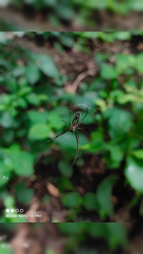 How to Use Pro Mode In Mobile || Pro Tips And Tricks || #shorts #viral #trending #tipsntricks #tips