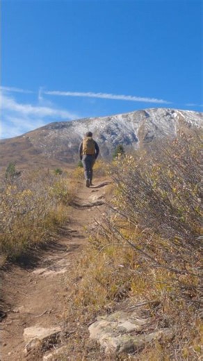 Hiking the Second Highest Peak in Colorado: Mt Massive