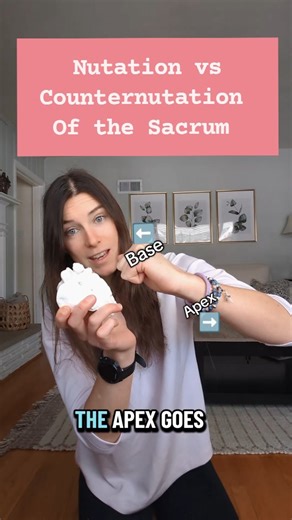 My Anatomy Teacher on Instagram: "Nutation vs Counternutation - Making these terms simple to understand! #anatomy #anatomyandphysiology #studygram #anatomyteacher #stem"