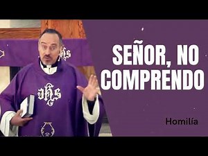 Homily; 'Lord, I don't understand' - Father Ernesto María Caro