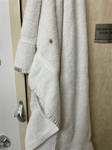 Celebrity Constellation Refurb 2024?  Is this a nice ship?