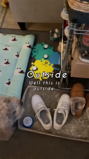 Master Puppy Training with Cute Button Tricks 😵‍💫 #foryou #puppy #dogcontent #dogtiktok