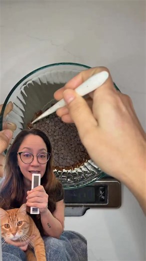 People will still tell me I’m lying and that’s ok 👍 chocolate and water do mix. Comment water ganache and I’ll send you the recipe | Sugar Geek Show