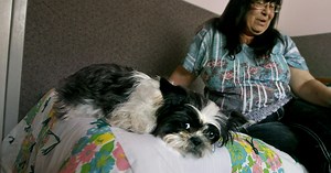 Women and pets: Side by side at Minnesota shelters