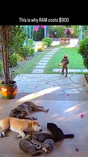 Deepnewsai on Instagram: "Because AI is eating the memory market. Modern AI models don’t just need GPUs — they need huge amounts of ultra-fast RAM, especially HBM (High Bandwidth Memory). Data centers are buying it in bulk at almost any price, because performance scales directly with memory speed and capacity. Chipmakers follow the money. They’re prioritizing HBM and server-grade memory with much higher margins, which cuts supply for consumer RAM. Less supply + massive demand = prices that feel 