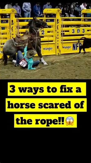 3 ways to fix a horse that’s scared of the rope!😱 #rodeo #calfroping #breakawayroping #tips #tricks #tools #coach #coaching #onlinecoaching | Rodeo Gym
