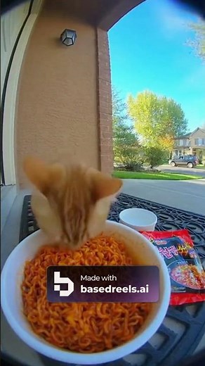 Cat tries spicy noodles🥵🐱🍜