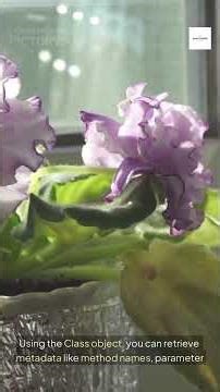 Reflection in Java #coding #programming #javalanguage #java #reflection #tutorial #faq