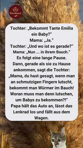 Kinderlogik im Auto 😄🚗